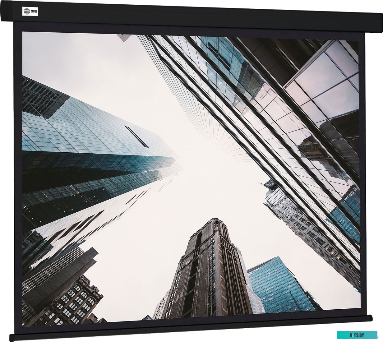 Экран для проекторов Cactus Wallscreen 124x221 CS-PSW-124X221-BK