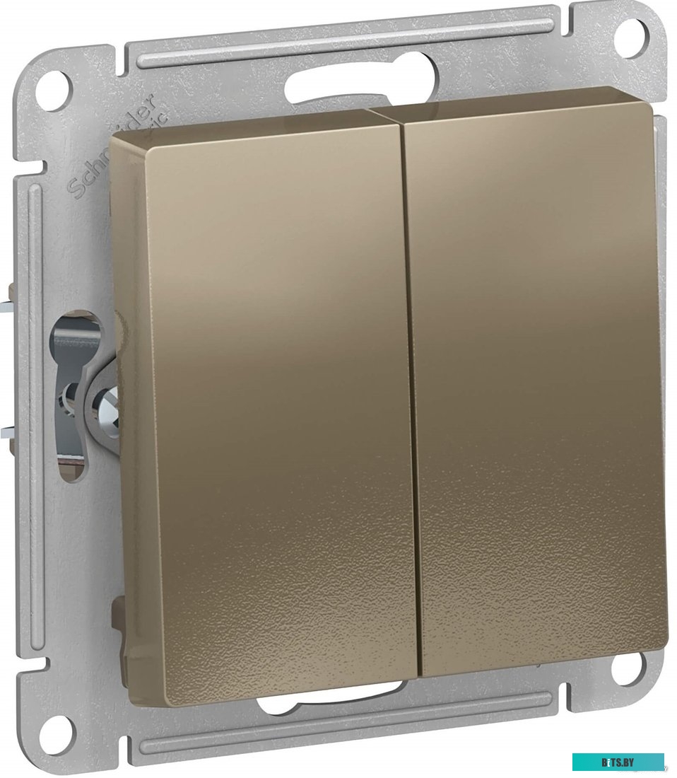 Розетка Schneider Electric AtlasDesign ATN000565