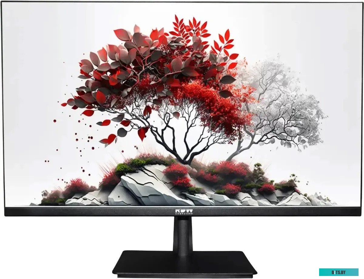 Монитор RDW Computers 27" RDW2701K черный IPS 1ms 16:9 HDMI M/M HAS Piv 1000:1 350cd 178гр/178гр 2560x1440 100Hz DP QHD USB 1.7кг (RUS) RDW2701K/Q03В3
