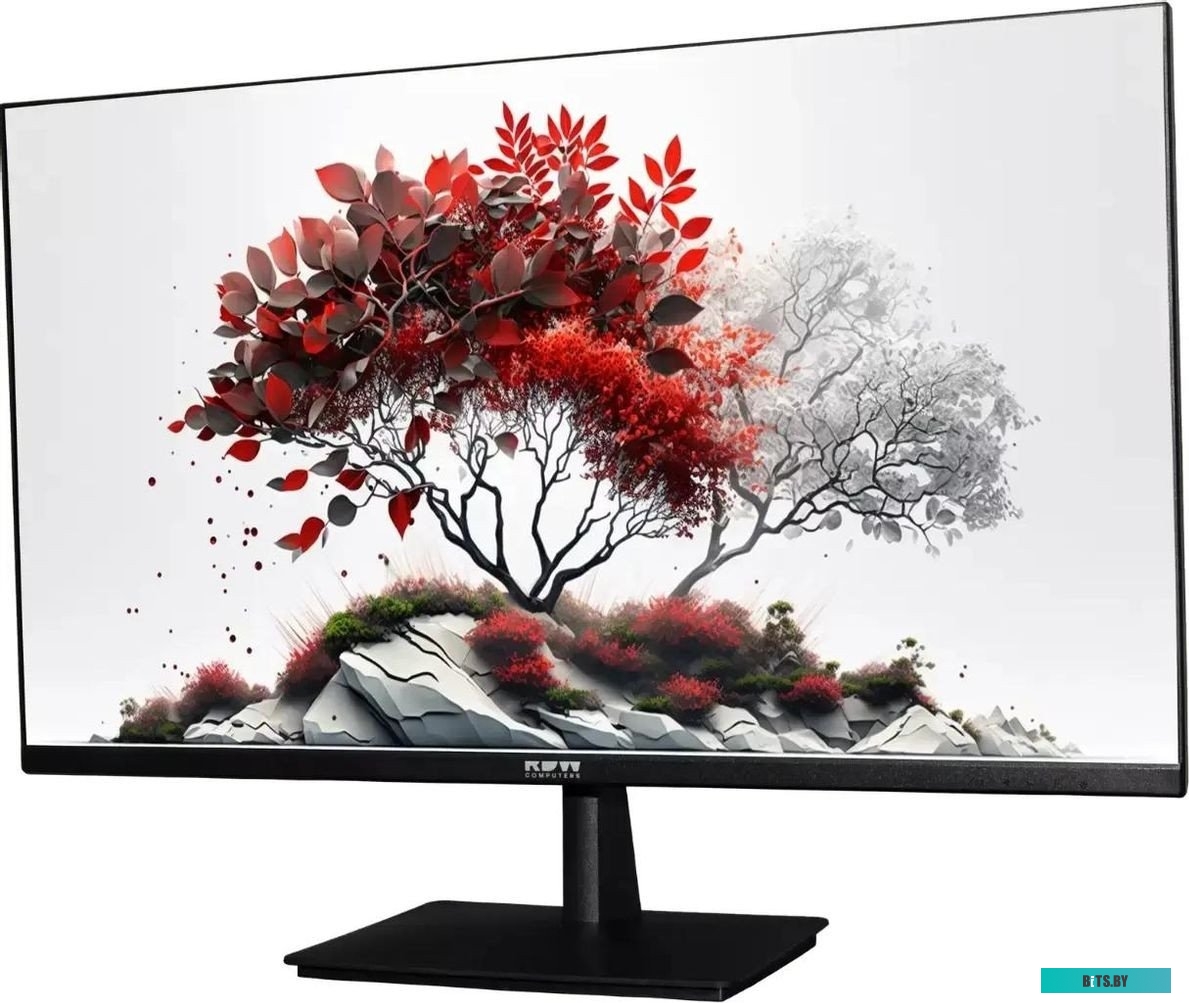 Монитор RDW Computers 27" RDW2701K черный IPS 1ms 16:9 HDMI M/M HAS Piv 1000:1 350cd 178гр/178гр 2560x1440 100Hz DP QHD USB 1.7кг (RUS) RDW2701K/Q03В3
