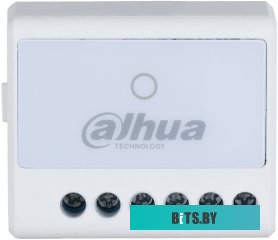 Dahua ARM7011-W2(868)