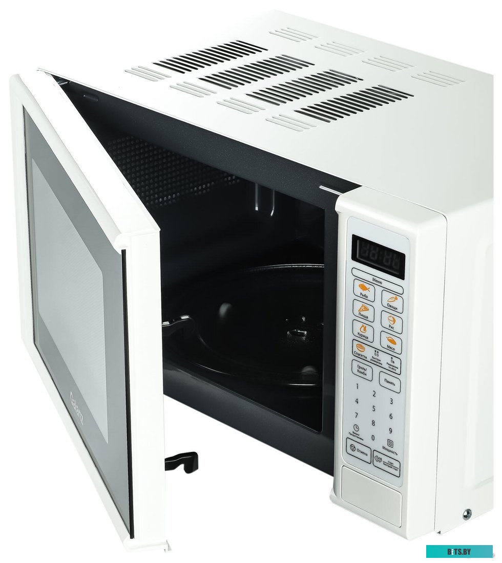 Galanz MOG-2011DW