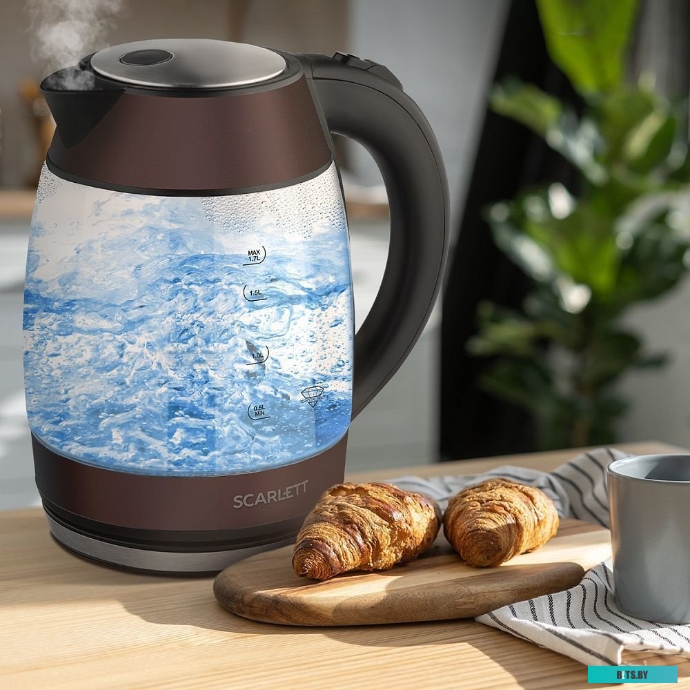 Scarlett SC-EK27G100