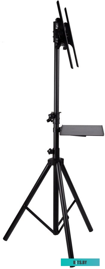 Кронштейн Arm Media TR-Stand-2 (черный)
