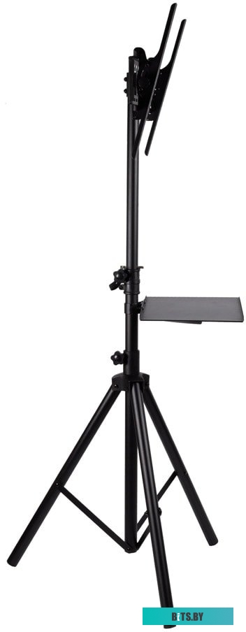 Кронштейн Arm Media TR-Stand-2 (черный)