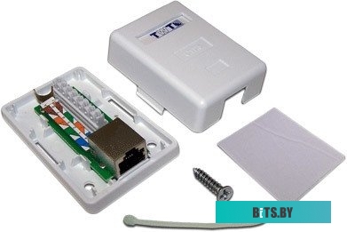Розетка настенная TWT-SM1-45/S6-WH, 1хRJ45, экранированная, кат.6, белая