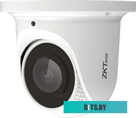 IP-камера Zkteco ES-854N21C