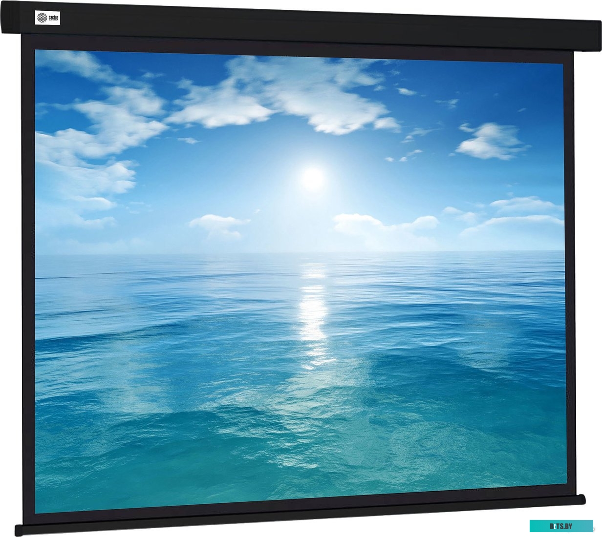 Экран для проекторов Cactus Wallscreen 104x186 CS-PSW-104X186-BK