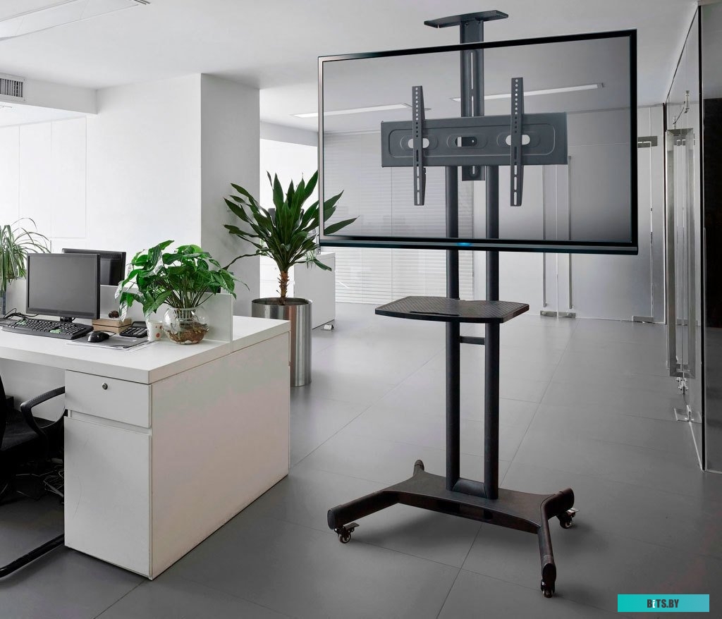 Кронштейн Onkron TS1551