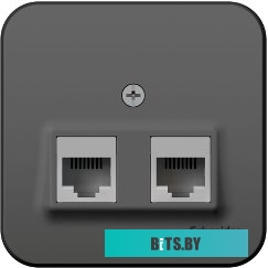 Розетка компьютерная Schneider Electric Blanca BLNIA045456