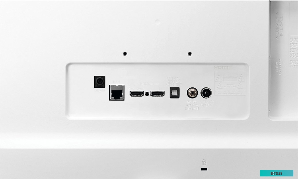 Телевизор LG 24TQ510S-WZ