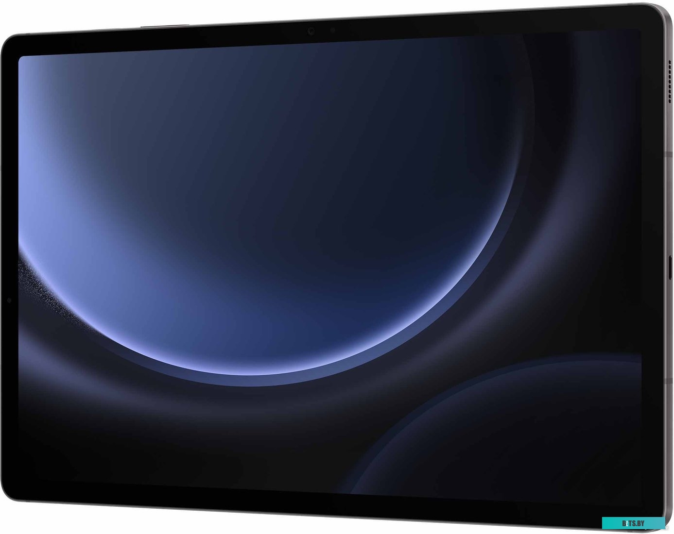 Планшет Samsung Galaxy Tab S9 FE+ 12GB/256GB (графит)