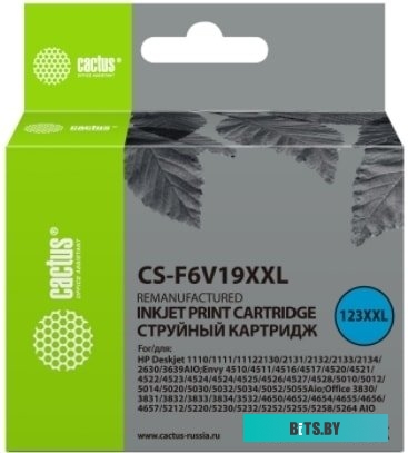 Картридж CACTUS CS-F6V19XXL (аналог HP 123XL F6V19AE)