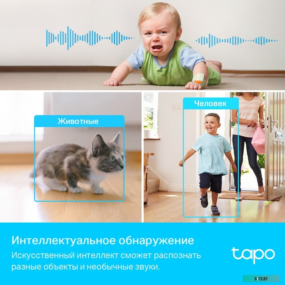 Умная Домашняя Поворотная Камера TP-Link Tapo C225