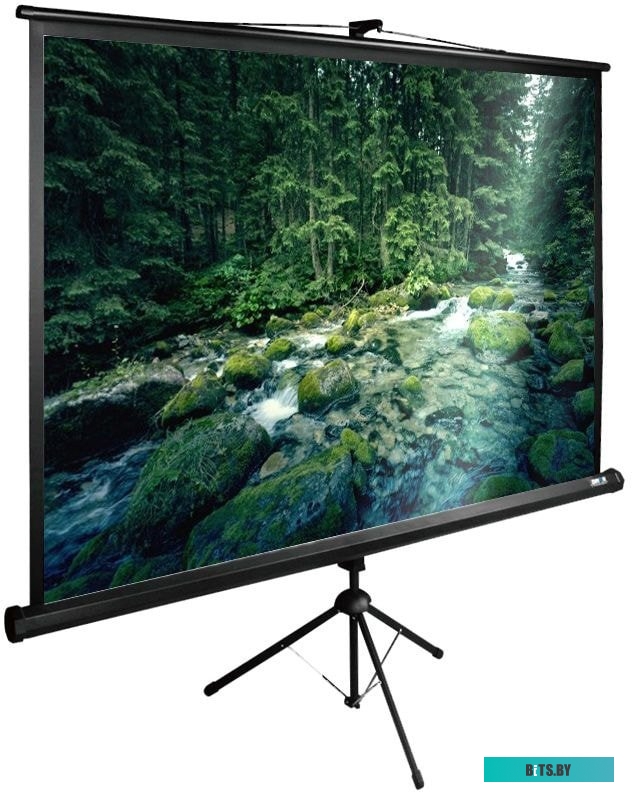 Экран для проекторов Cactus TriExpert 165x220 CS-PSTE-220X165-BK
