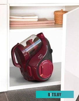 Пылесос Tefal TW2943EA