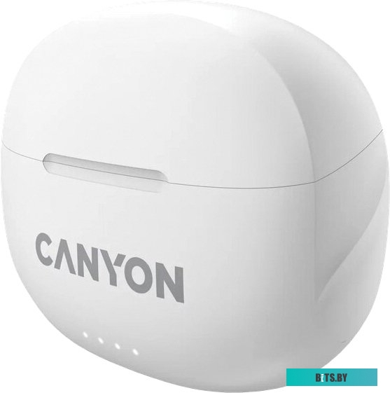 Наушники Canyon TWS-8 CNS-TWS8W