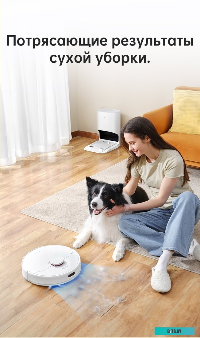 Робот-пылесос Dreame Bot D10 Plus <RLS3D>