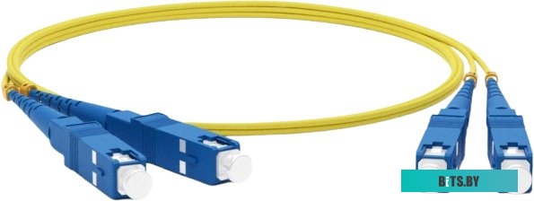 Патч-корд TWT (TWT-2SC-2SC/SU-2.0) оптический. Дуплекс. SC/UPC-SC/UPC. SM. 2.0 м