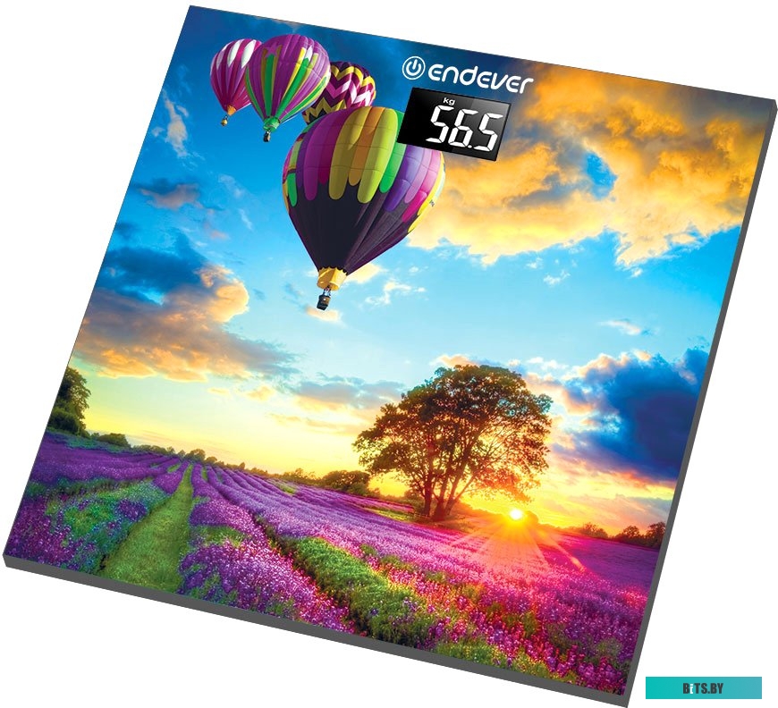 Напольные весы Endever Aurora 551