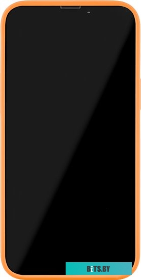 uBear Touch Mag Case для iPhone 13 Pro Max (оранжевый)