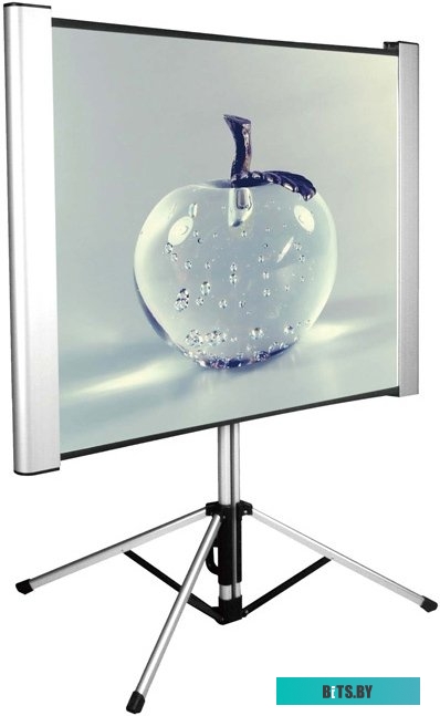 Экран для проекторов Cactus TriAlExpert 102x180 CS-PSTALE-180X102