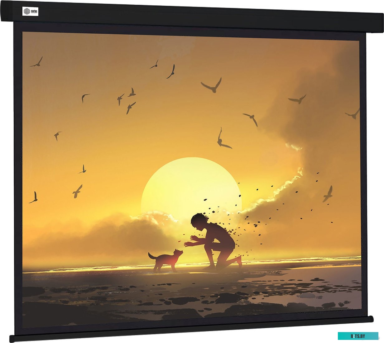 Экран для проекторов Cactus Wallscreen 150x150 CS-PSW-150X150-BK