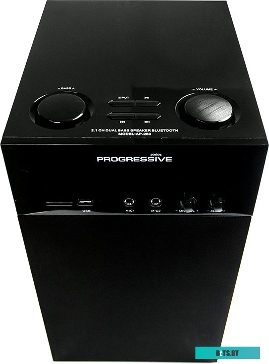 Компьютерные колонки Dialog Progressive AP-250 (черный) <AP-250 Black>