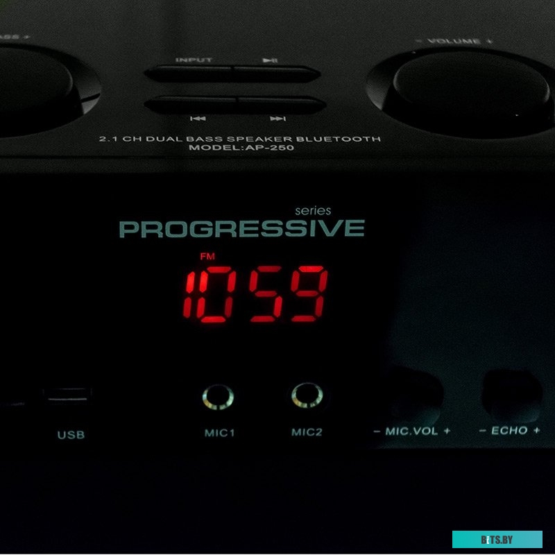 Компьютерные колонки Dialog Progressive AP-250 (черный) <AP-250 Black>