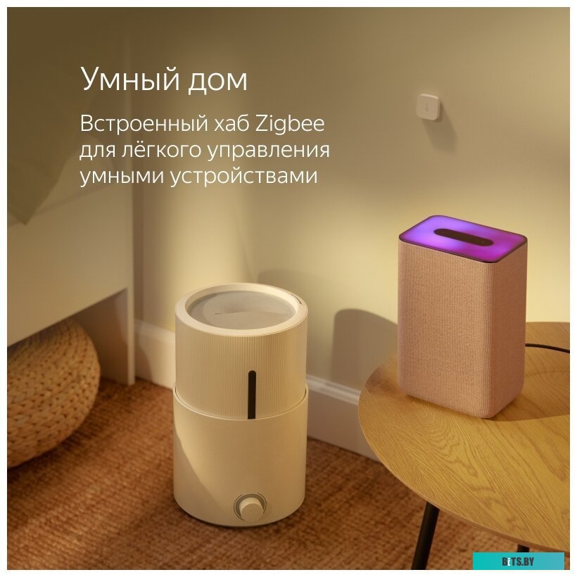 Умная колонка Яндекс Станция 2 (медный) <YNDX-00051C>