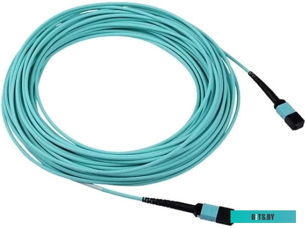 Кабель Huawei SS-OP-D-MPO12-M-5