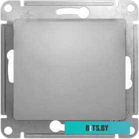 Розетка Schneider Electric Glossa GSL000311 (алюминий)