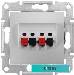 Розетка компьютерная Schneider Electric Sedna SDN5400160