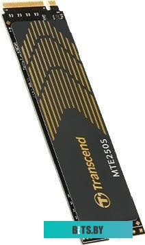 SSD Transcend 250S TS1TMTE250S
