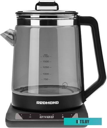 Redmond RK-G1310D