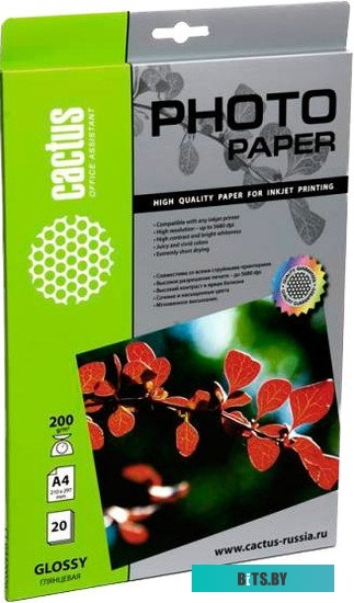 Фотобумага Cactus CS-GA420020 (A4, 20 листов, 200 г / м2) глянцевая