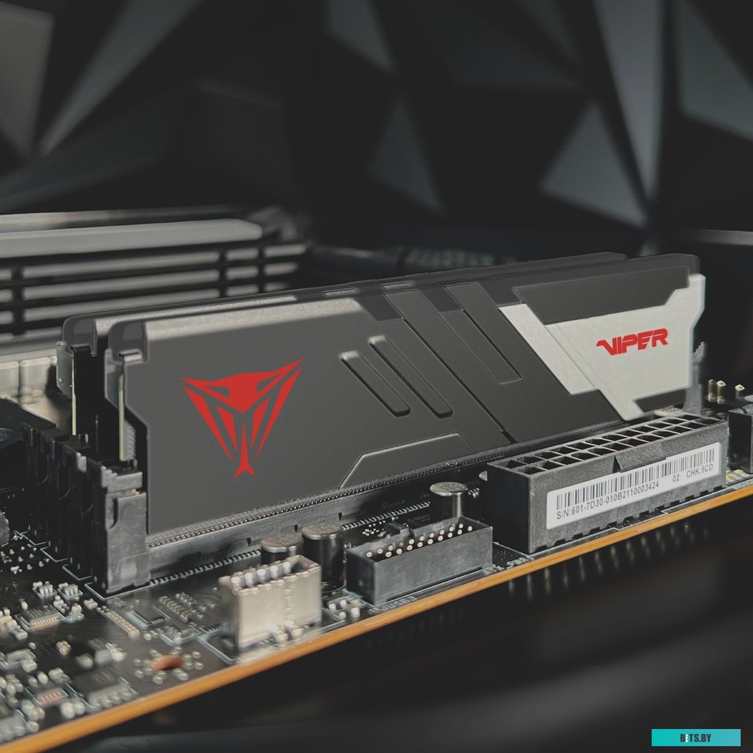 Оперативная память Patriot Viper Venom 2x32ГБ DDR5 6000МГц PVV564G600C36K