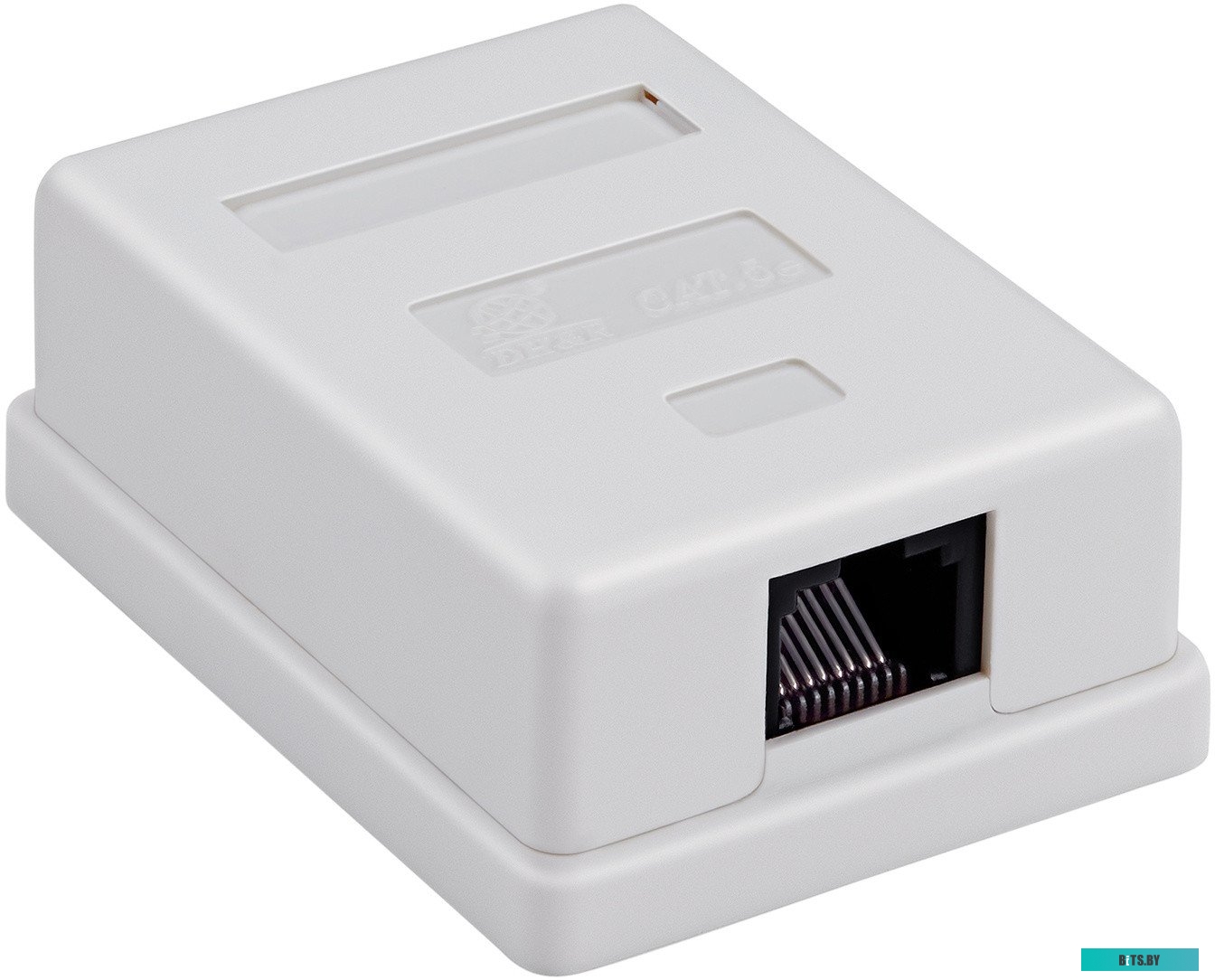 Ningbo TL-CAT-014	 Розетка RJ45 5E кат. 2-port