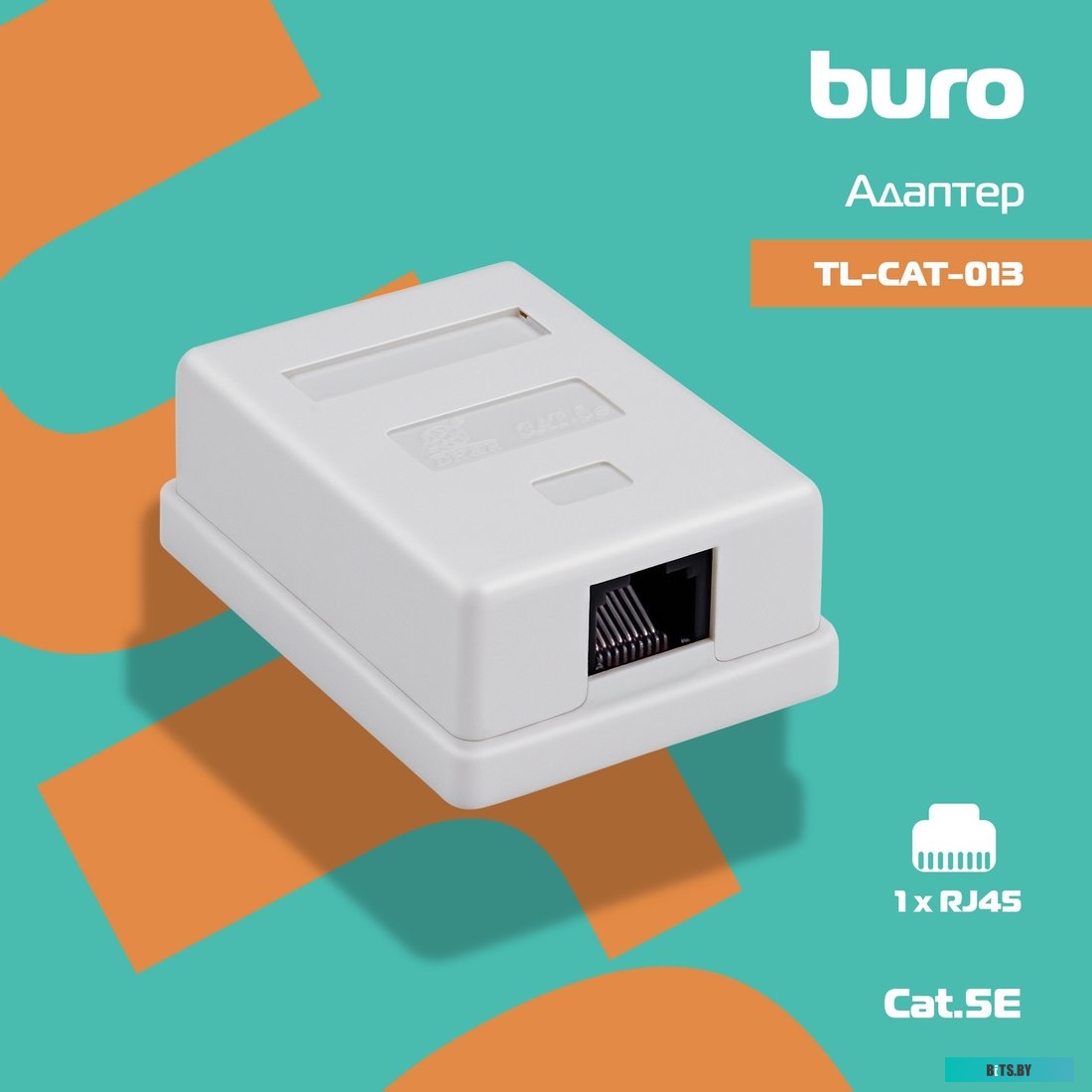 Ningbo TL-CAT-014	 Розетка RJ45 5E кат. 2-port