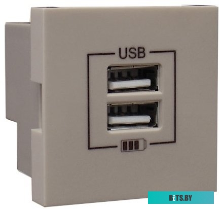 Розетка USB Efapel 45439 SPL
