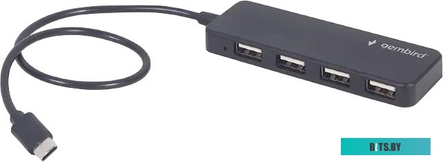 USB-Хаб Gembird UHB-CM-U2P4-01