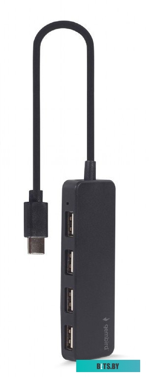 USB-Хаб Gembird UHB-CM-U2P4-01