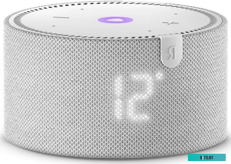 Умная колонка Яндекс Станция Мини 2 с часами (серый опал) <YNDX-00020G>
