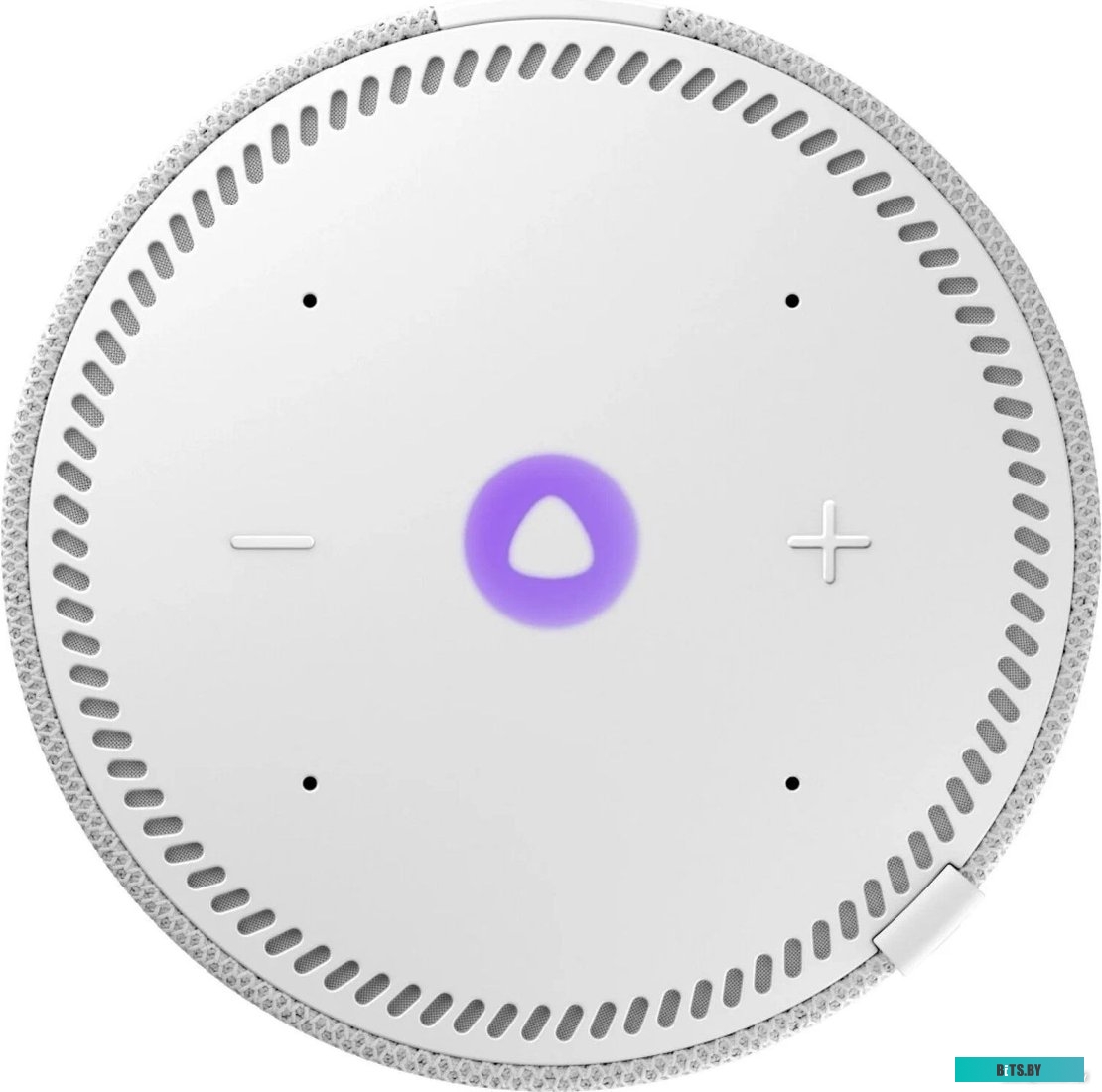 Умная колонка Яндекс Станция Мини 2 с часами (серый опал) <YNDX-00020G>