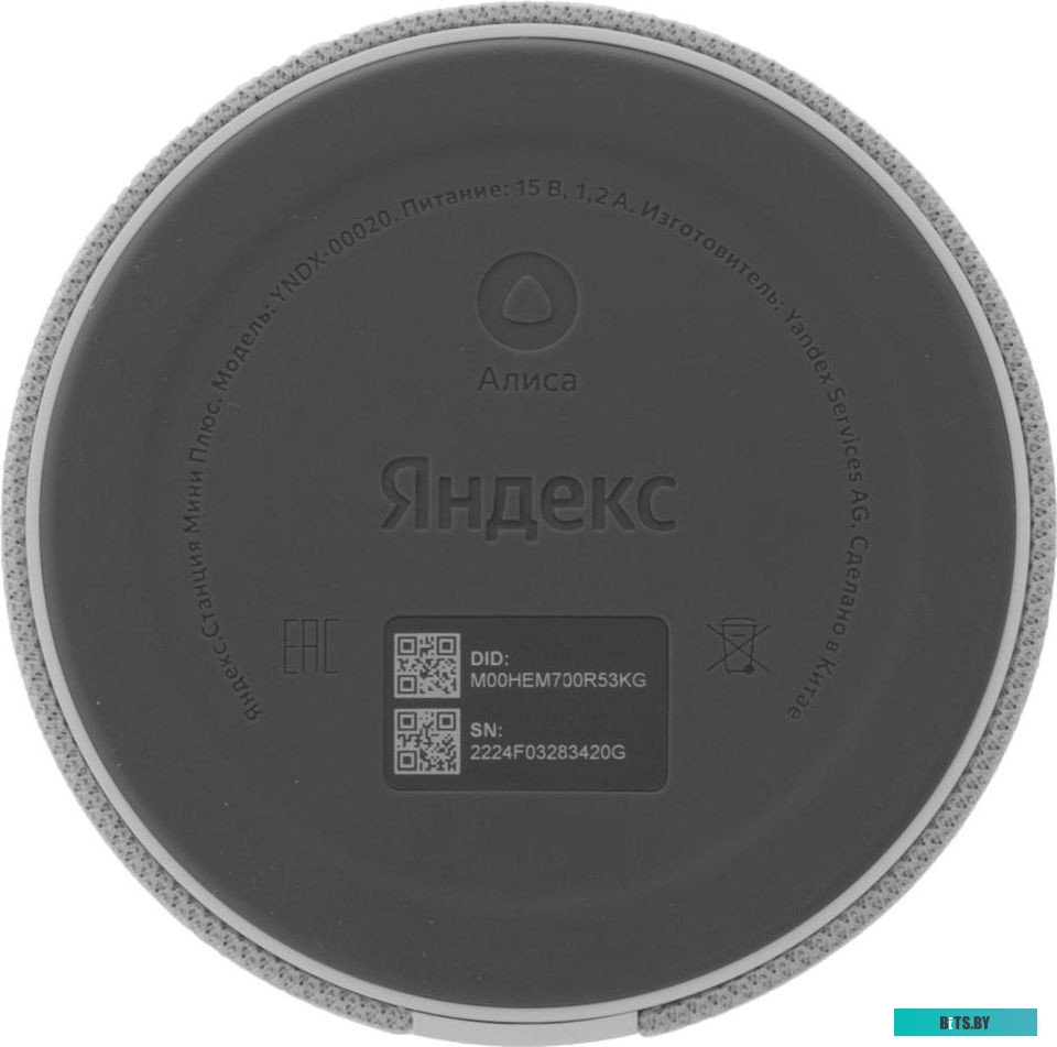Умная колонка Яндекс Станция Мини 2 с часами (серый опал) <YNDX-00020G>