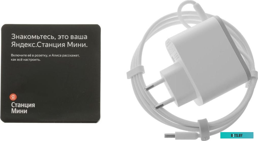 Умная колонка Яндекс Станция Мини 2 с часами (серый опал) <YNDX-00020G>