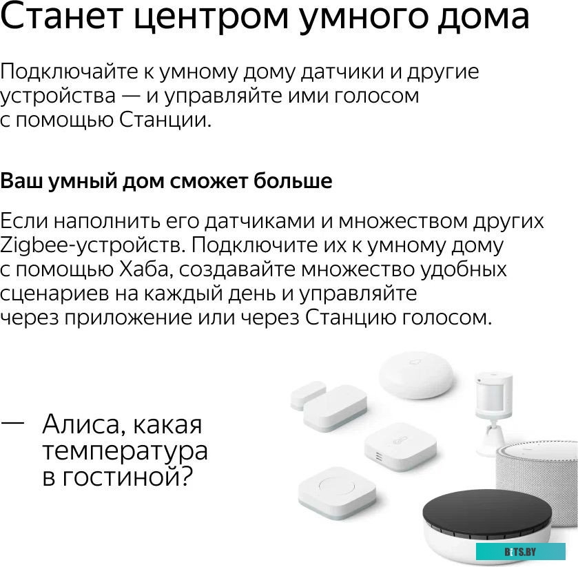 Умная колонка Яндекс Станция Мини 2 с часами (серый опал) <YNDX-00020G>