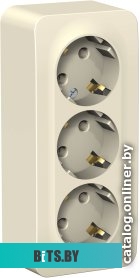 Розетка Schneider Electric Blanca BLNRA010312