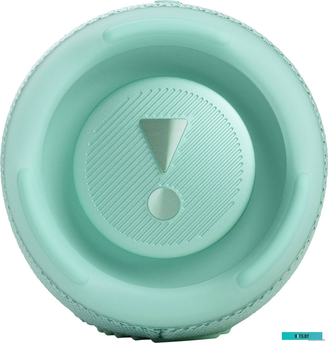 Беспроводная колонка JBL Charge 5 (бирюзовый) <JBLCHARGE5TEAL>