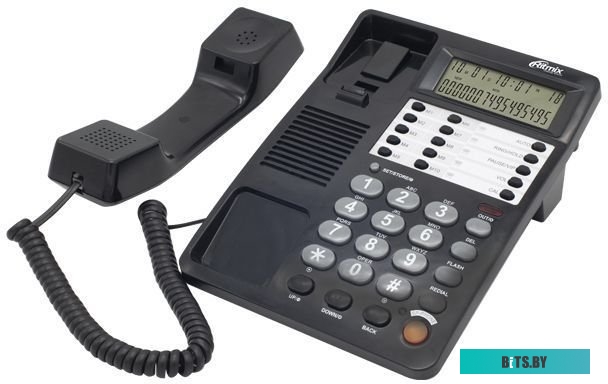 Ritmix RT-495 (черный)